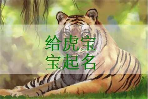 老虎名字